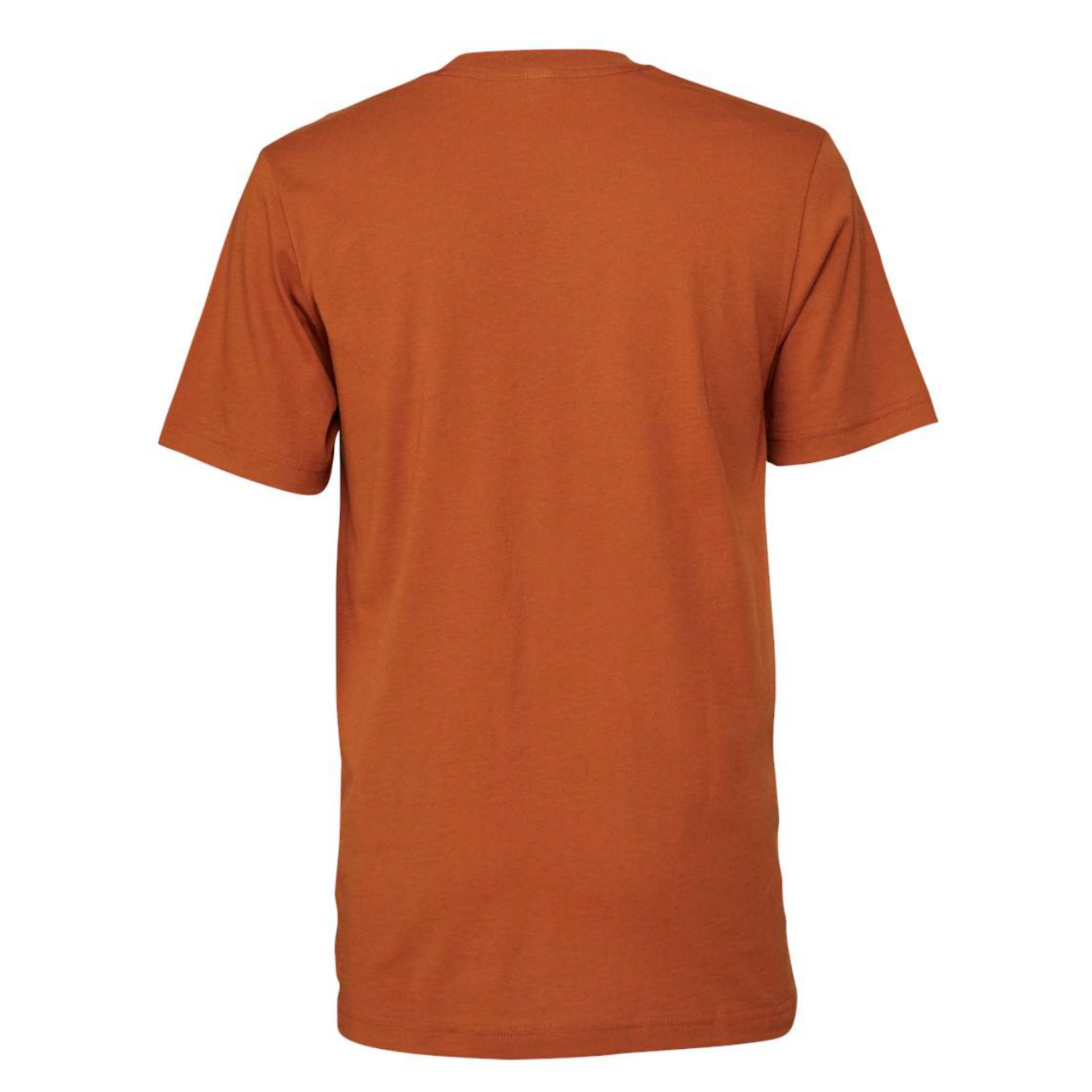 Lake It Easy T-Shirt in orange - back view